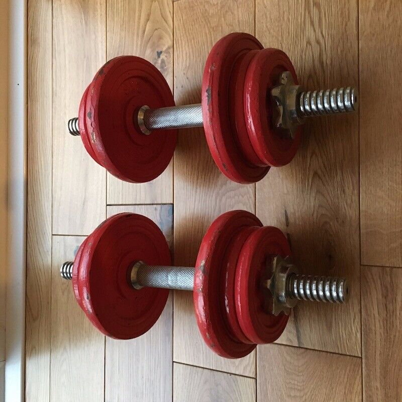 weider dumbbells